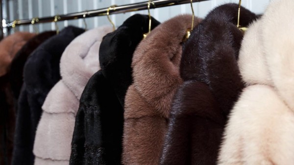 В Новосибирске бывший заключенный украл у экс-супруги шубу и мобильный телефон