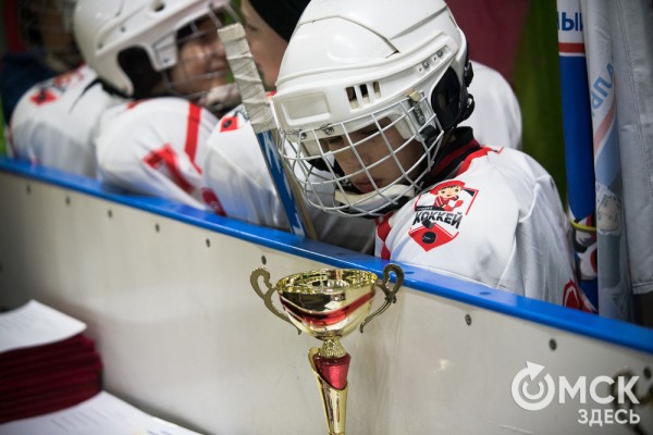 Скрестить клюшки! В Омске открылся сезон детского дворового хоккея Скрестить клюшки! В Омске открылся сезон детского дворового хоккея