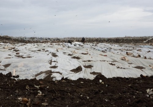 Владельцы АО «Полигон» за прием отходов на надеждинской свалке могут оказаться за решеткой