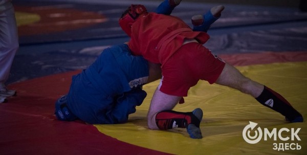 Александр Пушница: "Омску нужен центр самбо"