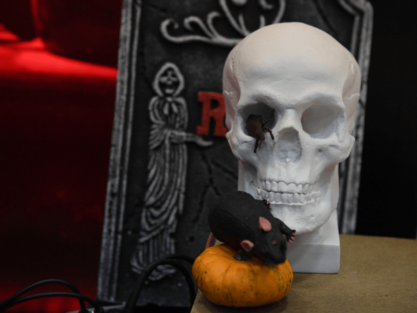 Дубль Бека и фантастический третий период! «Авангард» обыграл «Динамо» Мск перед перерывом
Дубль Бека и фантастический третий период! «Авангард» обыграл «Динамо» Мск перед перерывом