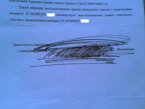 Штейнборм сократил свою подпись к приходу в омское Минимущества