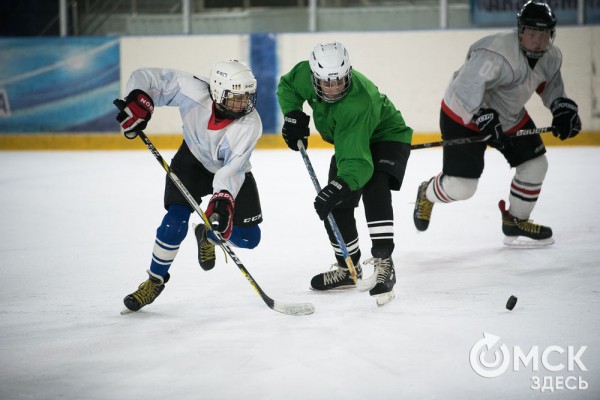 Скрестить клюшки! В Омске открылся сезон детского дворового хоккея Скрестить клюшки! В Омске открылся сезон детского дворового хоккея