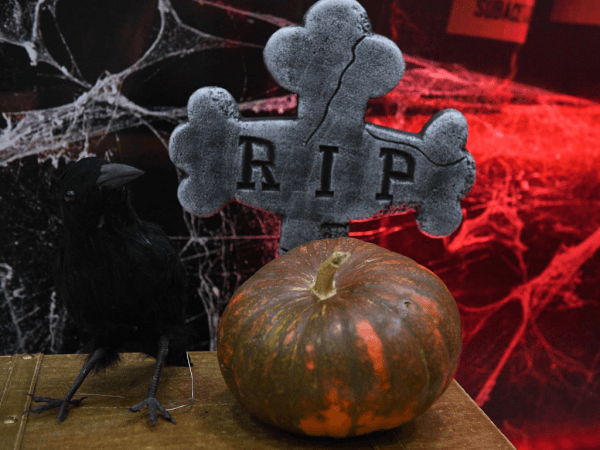 «Авангард» - «Динамо» Москва 4:3. Послематчевая пресс-конференция (ВИДЕО)
«Авангард» - «Динамо» Москва 4:3. Послематчевая пресс-конференция (ВИДЕО)