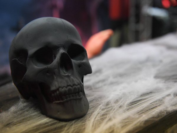 Крылов — о новой арене в Омске: будет достойный проект не на одно десятилетие
Крылов — о новой арене в Омске: будет достойный проект не на одно десятилетие