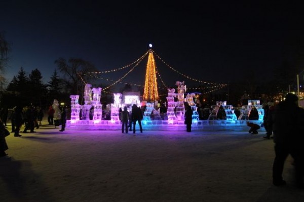 Главную ёлку в Омске проведёт компания из Новосибирска