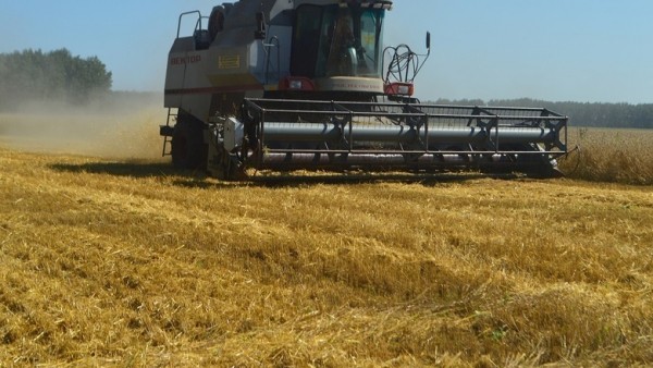 Депутат Бонковский войдет в совет директоров компании «Зерно Сибири» 