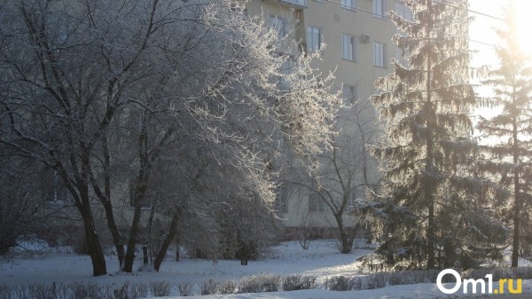 В выходные на омичей обрушится ледяной дождь с метелью