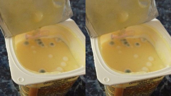 Йогурт с плесенью возмутил жителей Новосибирска