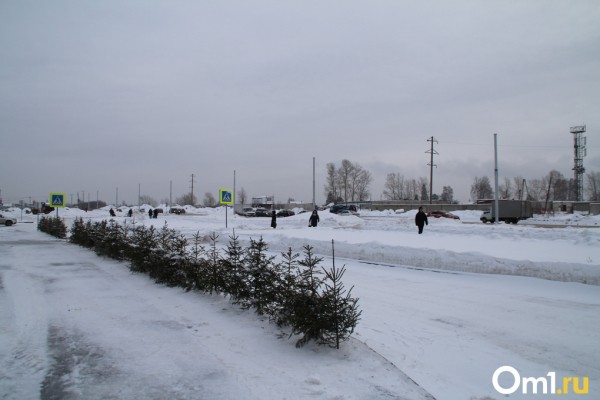 Коллапса не будет: в Новосибирске открыли новый автовокзал