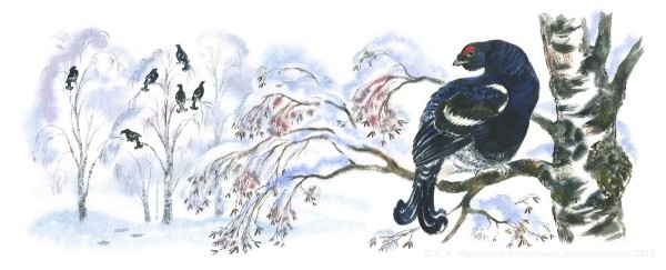 Писатель и художник Евгения Чарушина-Капустина: "Невозможно работать с тем, что не по душе" Писатель и художник Евгения Чарушина-Капустина: "Невозможно работать с тем, что не по душе"