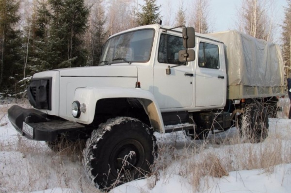 Срубили нашу ёлочку… Какие деревья выбирают омичи на Новый год