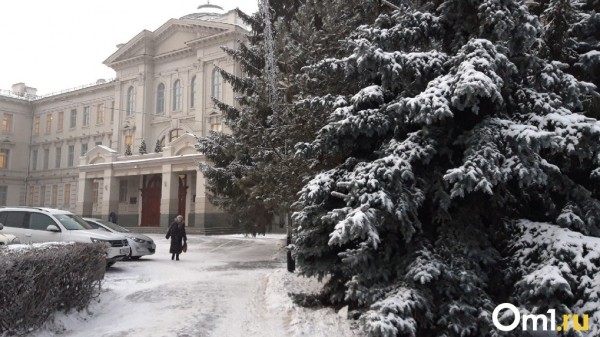 В Омске в ближайшие дни ударят морозы до -25 В Омске в ближайшие дни ударят морозы до -25