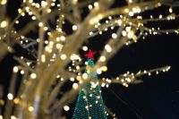 Омичам рассказали, как правильно выбрать искусственную ёлку