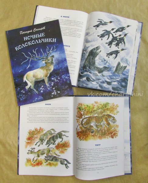 Писатель и художник Евгения Чарушина-Капустина: "Невозможно работать с тем, что не по душе" Писатель и художник Евгения Чарушина-Капустина: "Невозможно работать с тем, что не по душе"