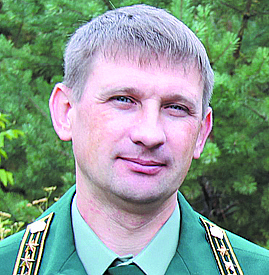 Живу рядом с сосновым бором. Почему нельзя срубить ёлку на Новый год?