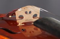 Дорогой подарок. В Омск привезли антикварную скрипку за 80 тысяч евро