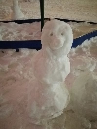 В Омске стартовала массовая лепка снеговиков В Омске стартовала массовая лепка снеговиков