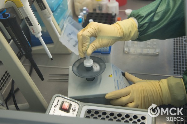 В Омске заработала система диагностики коронавируса