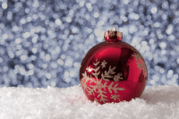 Путешествие по континентам. В Омском цирке ёлка «нашла» все огоньки Путешествие по континентам. В Омском цирке ёлка «нашла» все огоньки