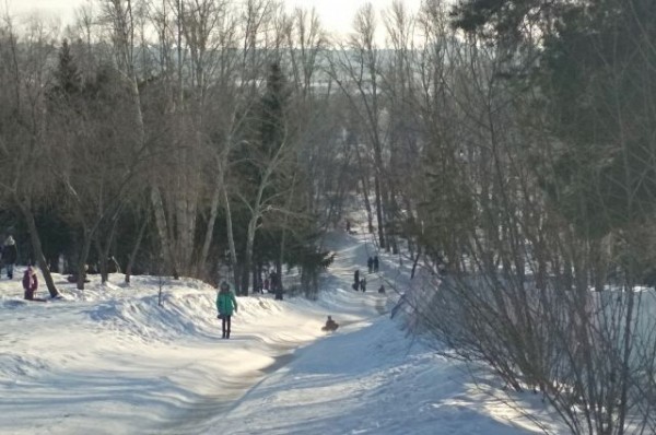 Опасная горка в Омске со съездом в дерево возмутила мэра Оксану Фадину Опасная горка в Омске со съездом в дерево возмутила мэра Оксану Фадину