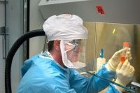 В аэропорту Омска проведут дезинфекцию из-за коронавируса