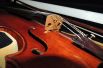 Музыканты Омской филармонии будут играть на скрипке, которой 119 лет