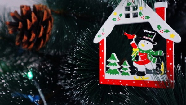 Горы, ружье и снеговик. Как омские политики и медийщики провели новогодние каникулы Горы, ружье и снеговик. Как омские политики и медийщики провели новогодние каникулы