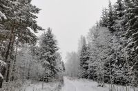 Омичей приглашают на бесплатные «Рождественские катания»