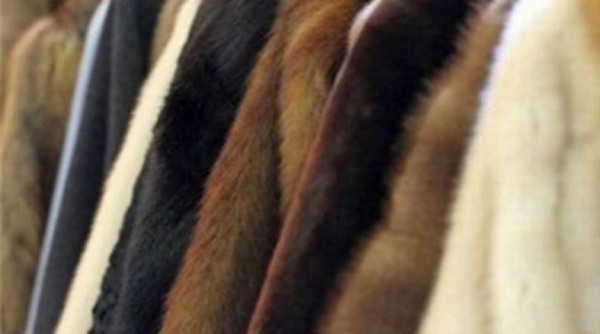 Меховому салону запретили продавать шубы из-за недовольной омички Меховому салону запретили продавать шубы из-за недовольной омички