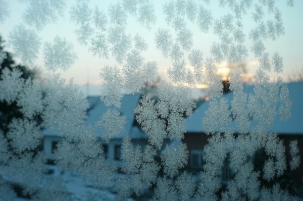 В Тарском районе Омской области введён режим ЧС