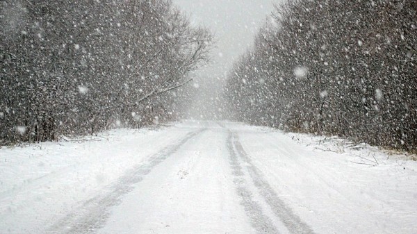 Ветер повалит деревья: новосибирцев предупредили об опасной погоде