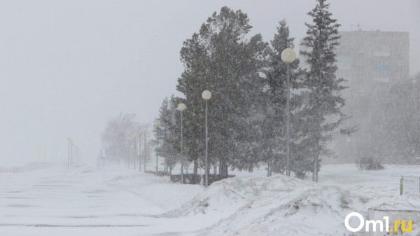 Дорога в Омск опасна. МЧС предупредило о надвигающейся снежной буре