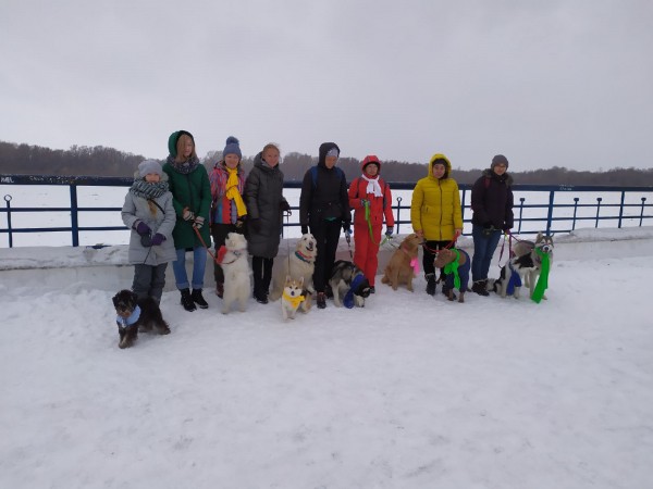 Собаки в шарфах прошли по Омской набережной в поддержку особенных детей