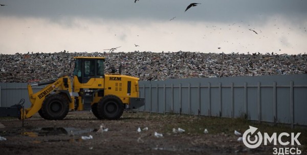 Легального мусорного полигона нет только в Омской области и на Сахалине