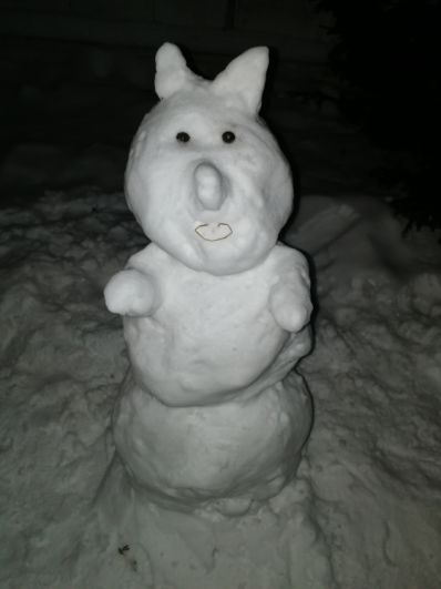 В Омске стартовала массовая лепка снеговиков В Омске стартовала массовая лепка снеговиков