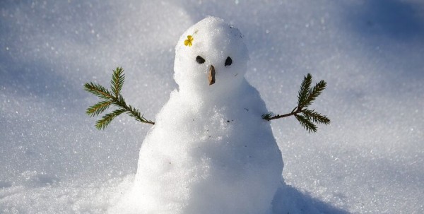 День снеговика в Омске: обзор соцсетей День снеговика в Омске: обзор соцсетей