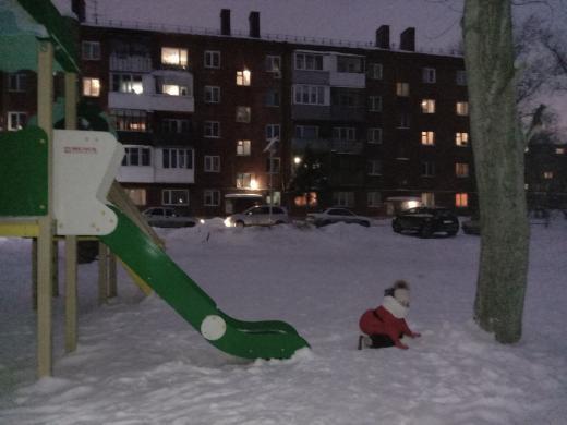 Сотрудника администрации уволят за детскую горку со спуском в дерево