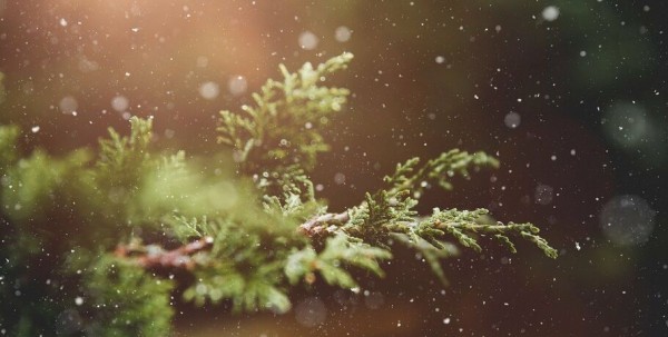 К Рождеству в Омскую область придёт похолодание