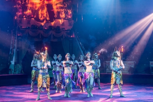 Путешествие по континентам. В Омском цирке ёлка «нашла» все огоньки Путешествие по континентам. В Омском цирке ёлка «нашла» все огоньки