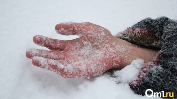 Найдите мое тело. В Омске продолжается череда нелепых мужских смертей