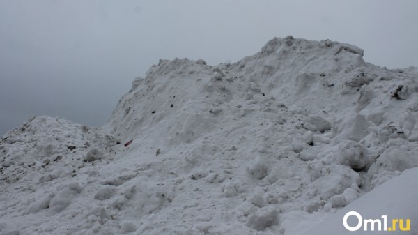Вирусный ролик про снег в Новосибирске рассмешил больше 10 тысяч человек