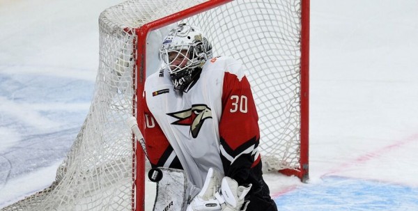 Два омских хоккеиста вызваны в сборную России на Шведские игры