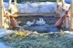 В Крещение тысячи омичей окунулись в купели