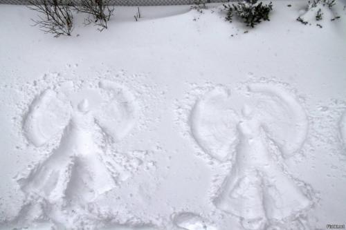 Гусь в духовке и валяние в сугробах: омские ВИПы рассказали о своих новогодних традициях