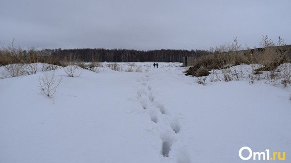 Два месяца сидела мертвая у дороги. Под Омском нашли труп пропавшей женщины