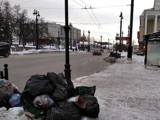 Мусорный регоператор бьет тревогу: Омск зарастает стихийными свалками