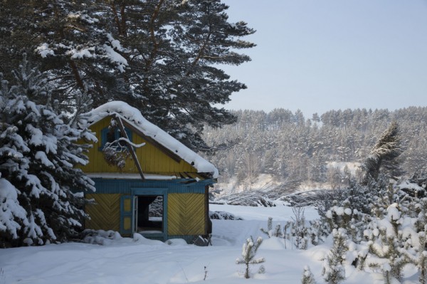 Несмотря на усилия Путина, Тулун стал городом-призраком