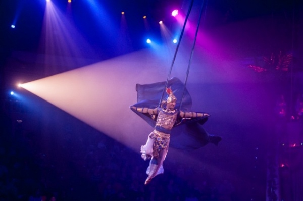 Путешествие по континентам. В Омском цирке ёлка «нашла» все огоньки Путешествие по континентам. В Омском цирке ёлка «нашла» все огоньки