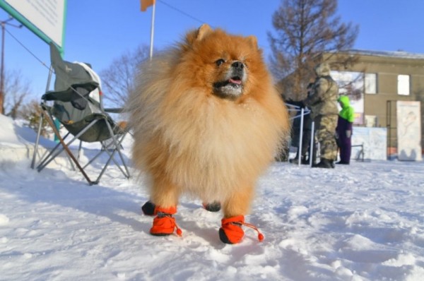 «Гиперборея-2020» собрала сильнейших спортсменов России в Крутой горке